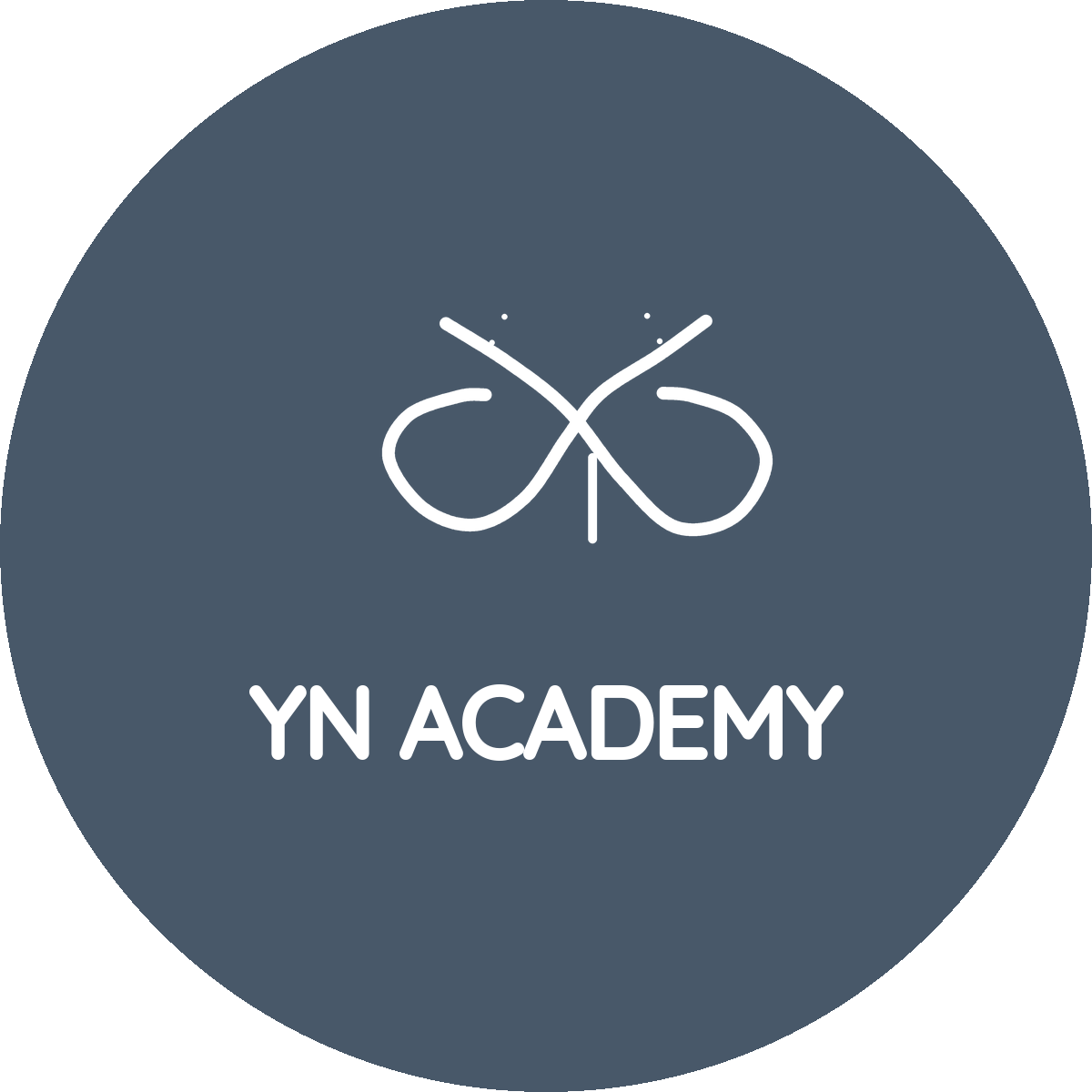 YN Academy